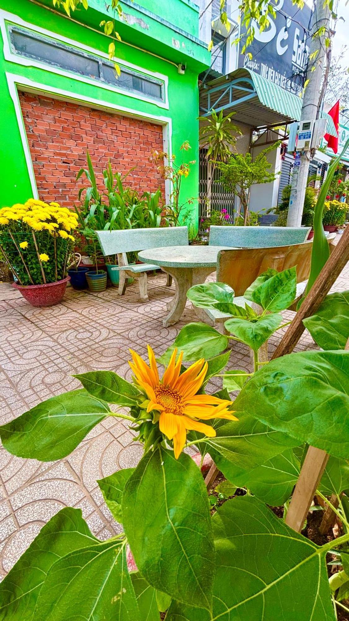 Thuy Hang Motel Long Hải Ngoại thất bức ảnh